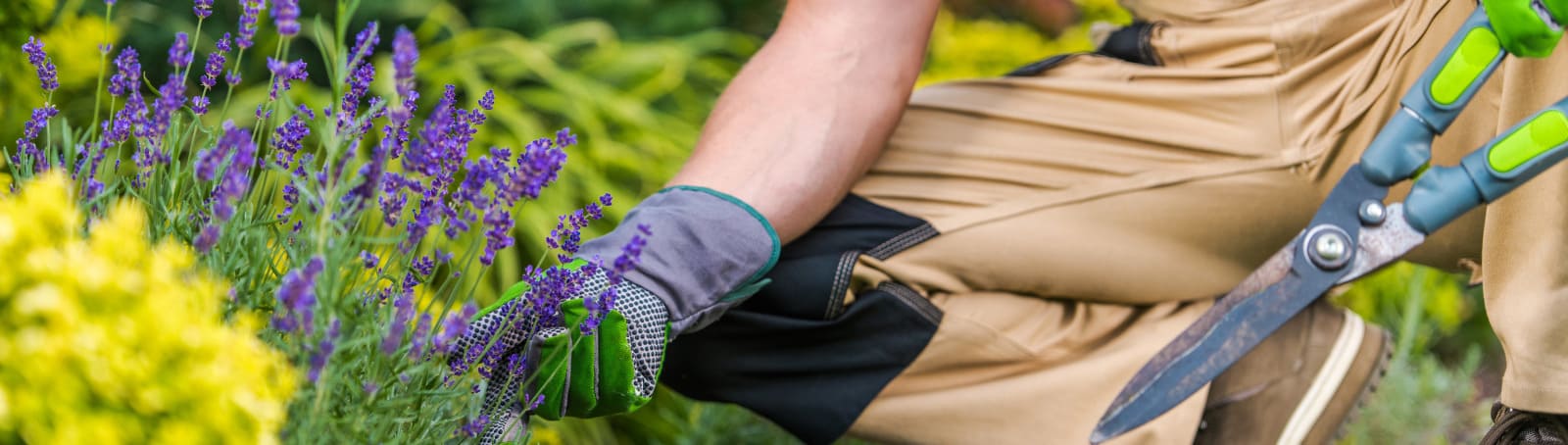 Legal Considerations for Home and Garden Renovations: A Guide for Homeowners